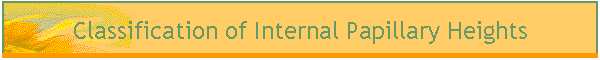 Classification of Internal Papillary Heights