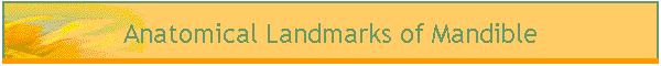 Anatomical Landmarks of Mandible