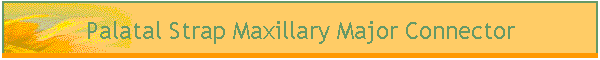 Palatal Strap Maxillary Major Connector