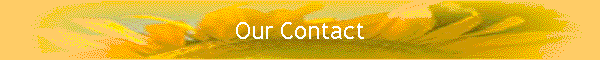 Our Contact