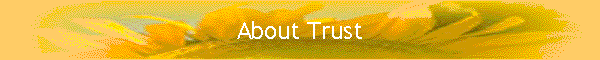 About Trust